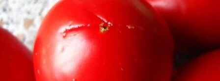 молниеносная пицца. Шаг 18