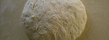 солнечная пицца. Шаг 2