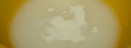 сырная пицца. Шаг 2