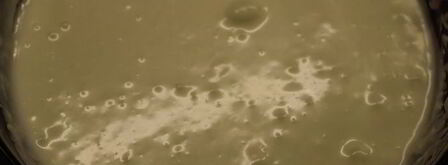 шарлотка с английским ванильным кремом. Шаг 16