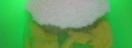 яблочная шарлотка в духовке. Шаг 2