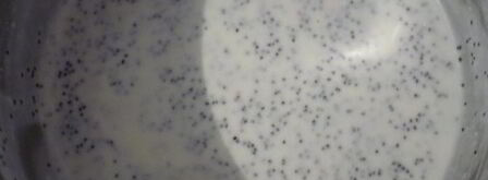 творожники в сметанно-маковом соусе. Шаг 4