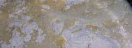 тесто сдобное для пирогов. Шаг 5