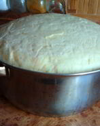 Универсальное дрожжевое тесто