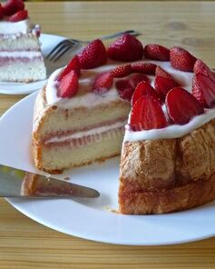 Мокрый бисквит