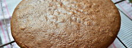 торт рождественский купол. Шаг 4