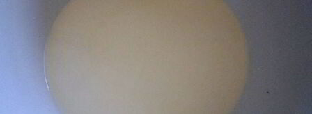 торт шоколад и сливки. Шаг 3