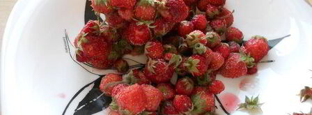 творожная запеканка с земляникой. Шаг 4