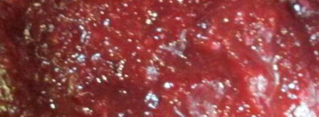 аджика из слив. Шаг 3