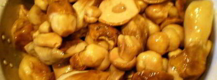 белые грибы замороженные на зиму. Шаг 2