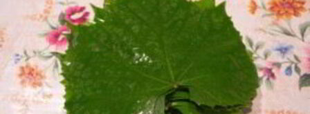 долма на зиму. Шаг 2