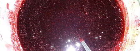 черничный джем. Шаг 2