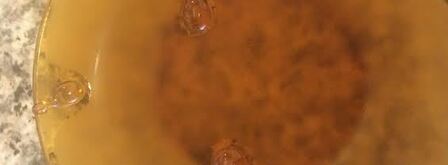 джем из персиков и нектаринов. Шаг 7