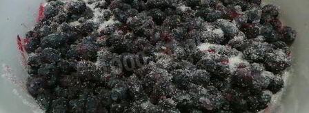 джем из жимолости. Шаг 3