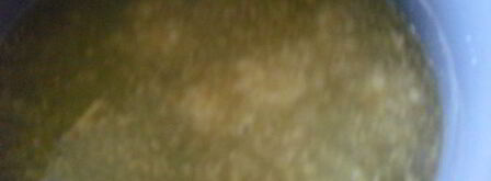 имбирный джем. Шаг 3