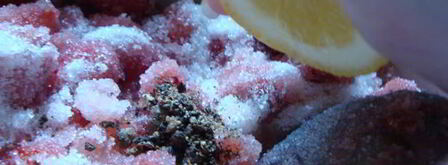 клубничный джем с ванилью и черным перцем. Шаг 6