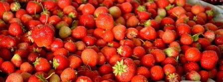 ленивый клубничный джем. Шаг 5