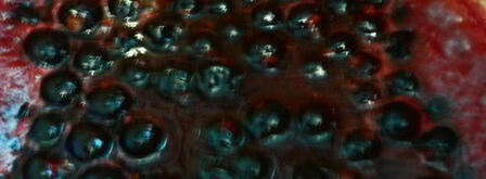 оладушки с лимонной цедрой, коньяком и черносмородиновым джемом. Шаг 5