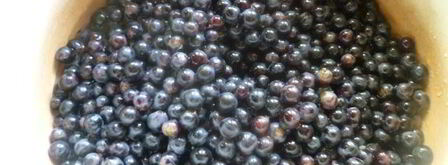 виноградно-сливовый джем. Шаг 2