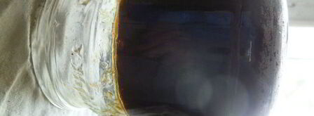 виноградно-сливовый джем. Шаг 15