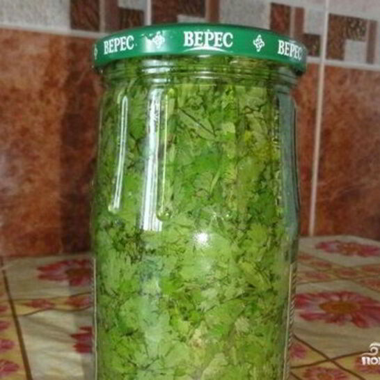 Рецепт кинза на зиму