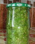 Кинза на зиму