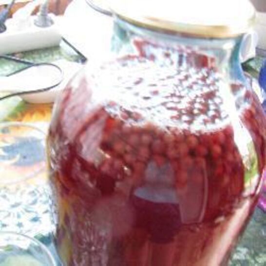 Рецепт компот из брусники на зиму