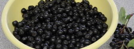 компот из черноплодки. Шаг 3
