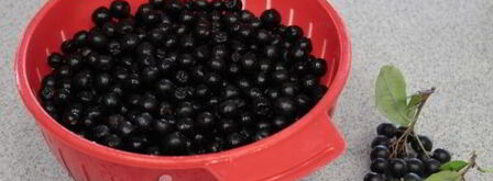 компот из черноплодки. Шаг 4