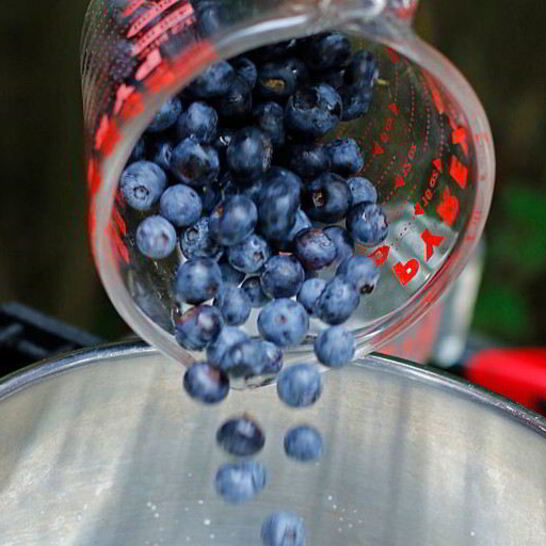 Рецепт компот из голубики