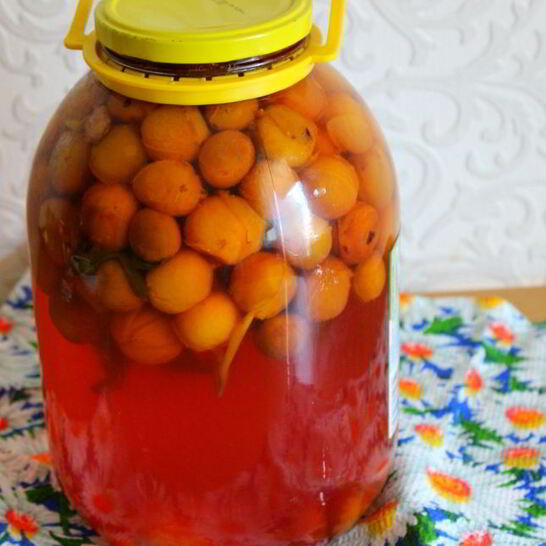 Рецепт компот из мелкой сливы с мятой