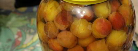 компот из мелкой сливы с мятой. Шаг 4