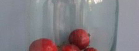 компот из ранеток на зиму. Шаг 4