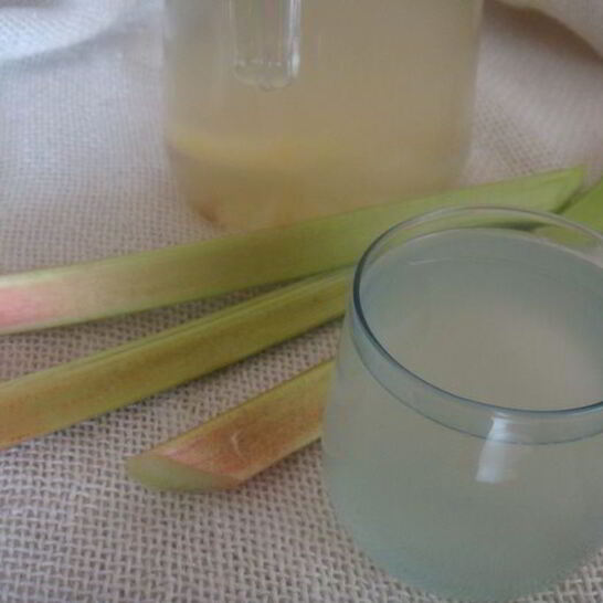 Рецепт компот из ревеня