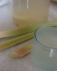 Компот из ревеня