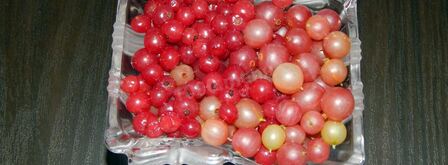 компот из смородины и крыжовника на зиму. Шаг 2