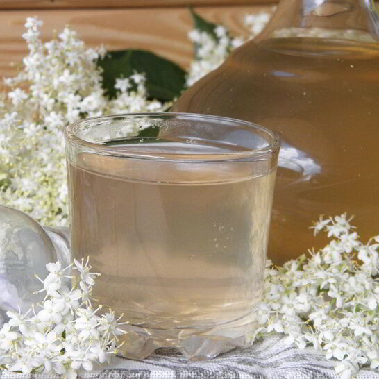 Рецепт компот из цветков бузины