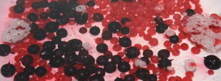 компот-крюшон со смородиной и гибридом мандарина с гранатом. Шаг 3