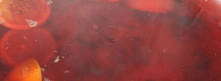 компот-крюшон со смородиной и гибридом мандарина с гранатом. Шаг 7