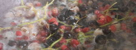 смородиновый компот с корицей. Шаг 2