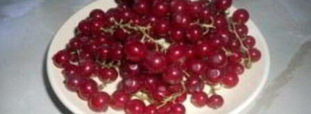 смородиновый компот. Шаг 2