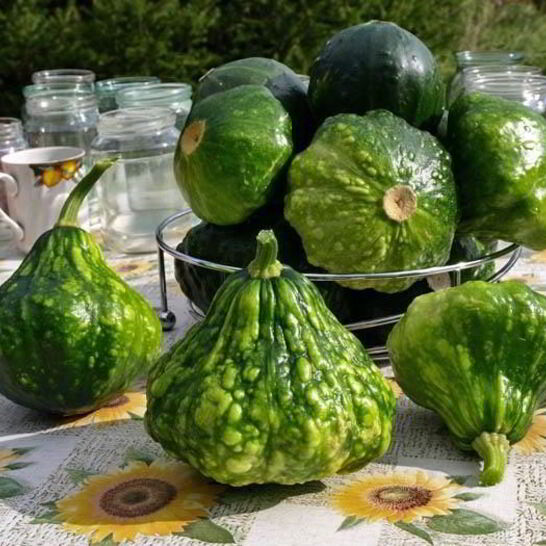 Рецепт консервация патиссонов на зиму