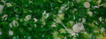 лук-батун на зиму. Шаг 2