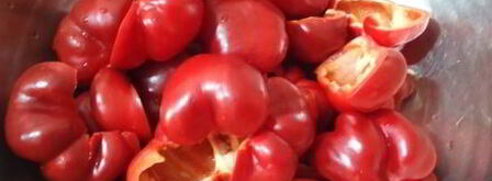 баклажаны маринованные с цветной капустой и гогошарами. Шаг 3