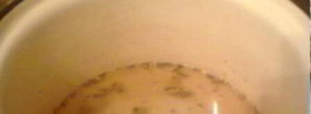 маринованная черемша на зиму. Шаг 2