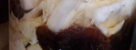 маринованная капуста. Шаг 5