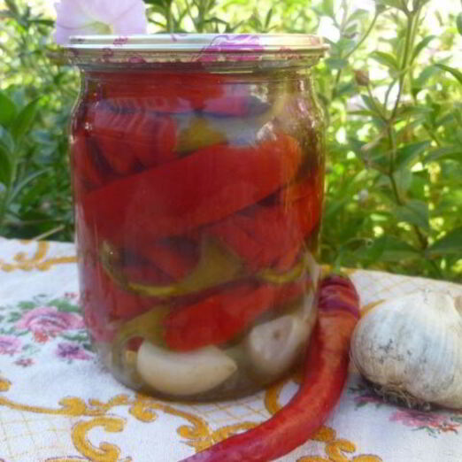 Маринованный горький перец