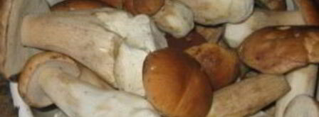 маринованные белые грибы без уксуса. Шаг 2