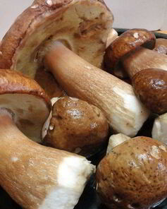 Маринованные белые грибы с чесноком