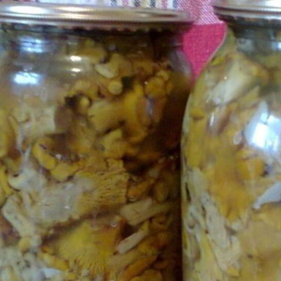 Рецепт маринованные лисички на зиму